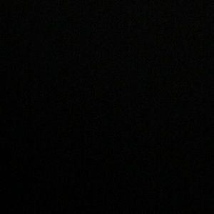 Meet your Posher, Luna